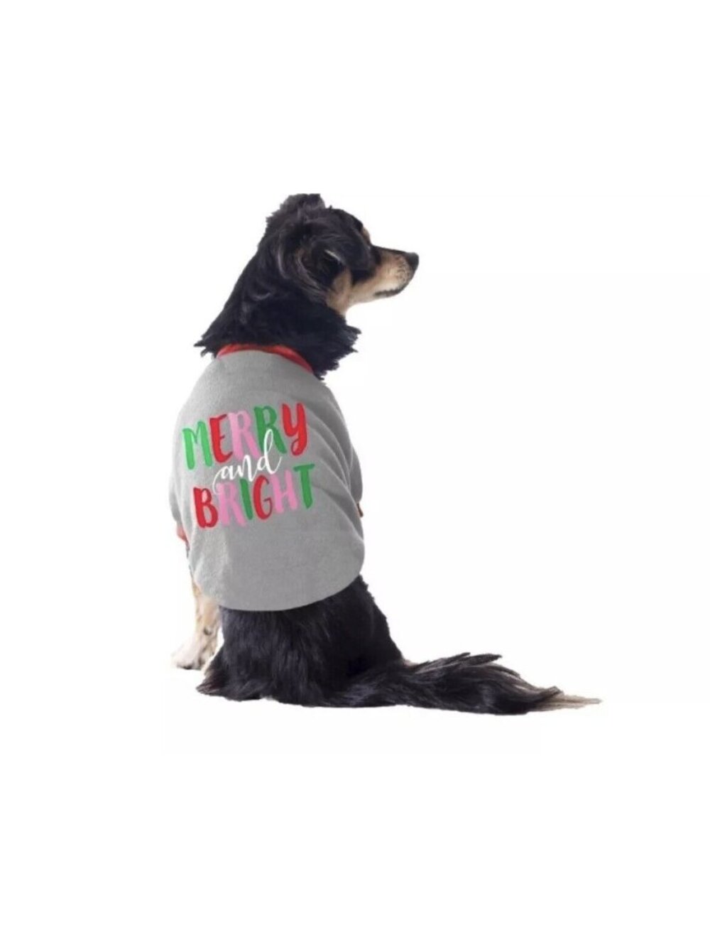 NWOT Vibrant Life Dogs Medium 20-50lb Gray Holiday Pet Tee Merry And Bright